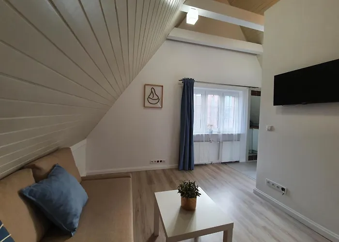 Na Motlawie Iv Appartement Gdańsk